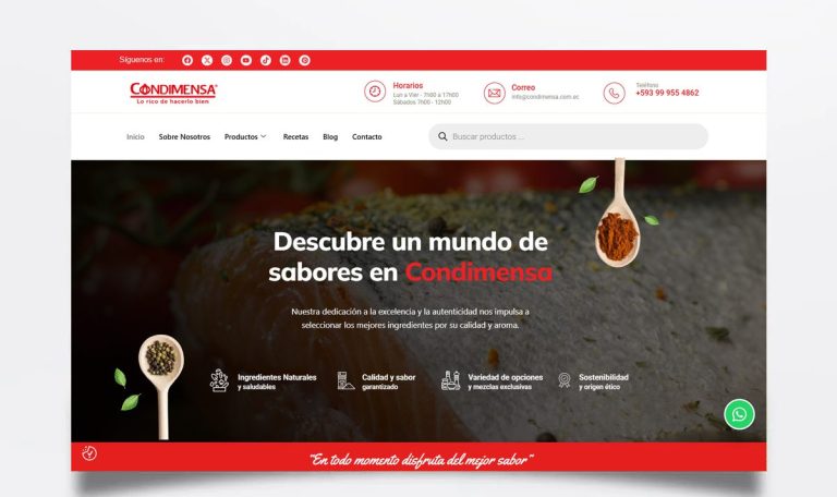 Página web de Condimensa diseñada por BIM Soluciones
