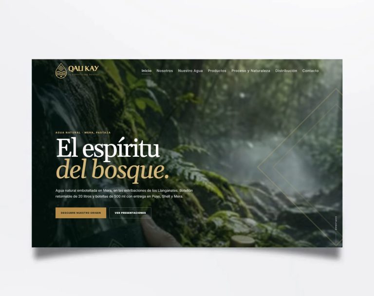 Página web de Qali Kay diseñada por BIM Soluciones