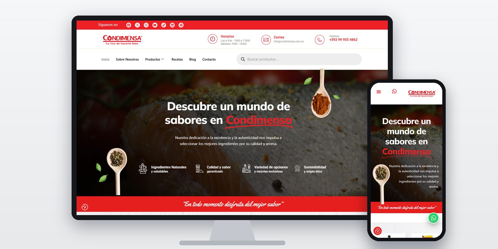 Página web de Condimensa diseñada por BIM Soluciones, vista en ordenador y móvil