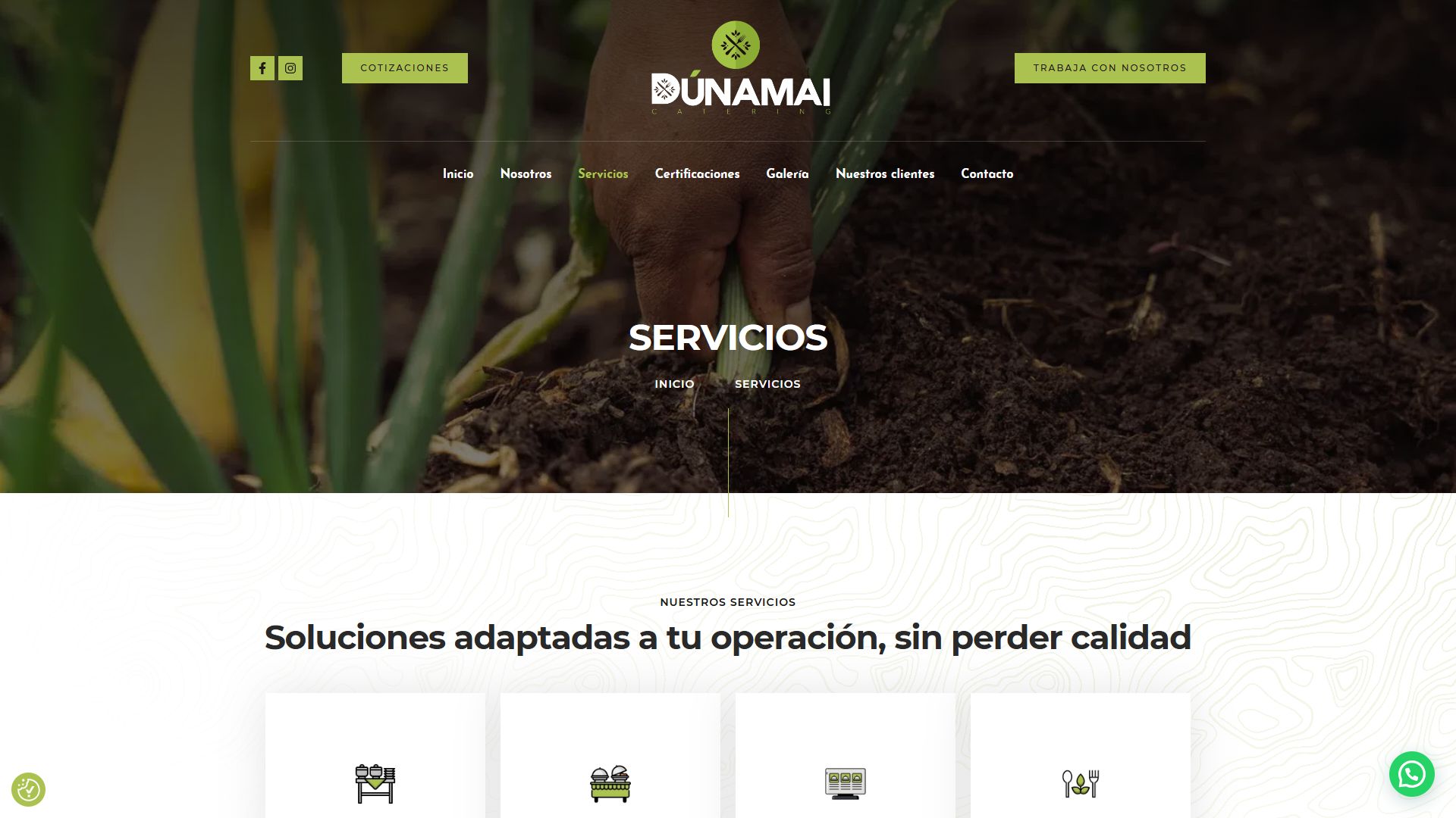 Página de servicios de la web de Dunamai