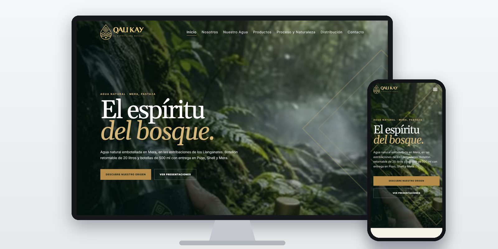 Página web de Qali Kay diseñada por BIM Soluciones, vista en ordenador y móvil