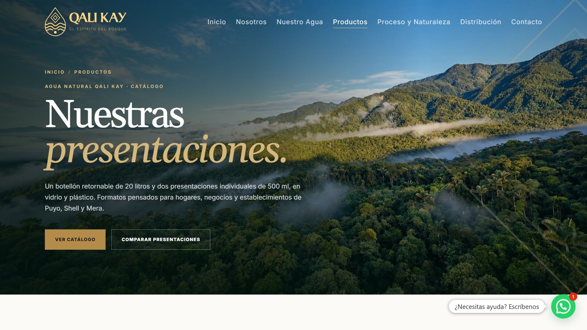 Página de presentaciones de la web de Qali Kay