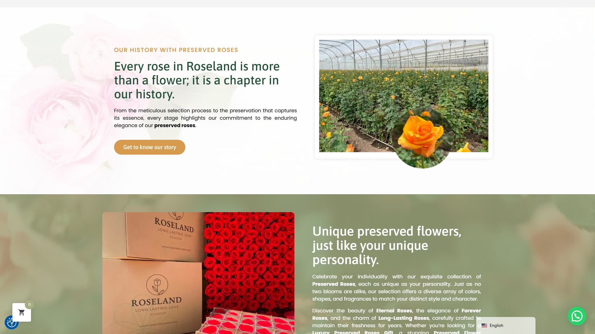 Sección de historia en la portada de la tienda online de Roseland Ecuador